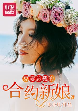 克妻总裁的小小新娘