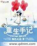 重生手记摘要