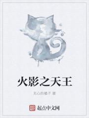 火影天王梦