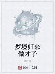 梦境归来做才子完结了吗