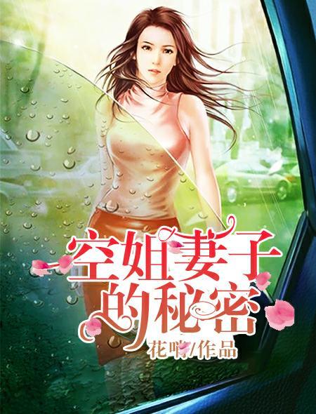 空姐妻子的秘密3在线观看