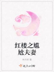 红楼之尴尬夫妻 宝玉
