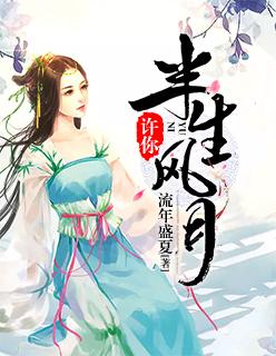 许你半生风月免费