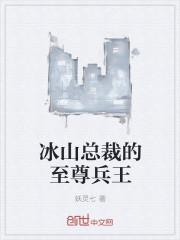 冰山总裁的至尊高手免费