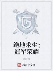 绝地求生夺冠
