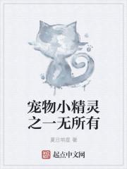 宠物小精灵1000章以上的无女主