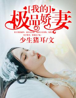 我的极品老婆讲了什么