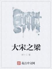 大宋之光