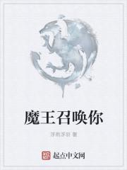 魔王的召唤笔记