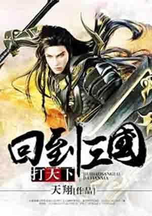 回到三国打天下txt奇书