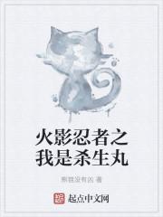 火影之杀手系统