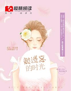 被遗忘的时光一共多少集