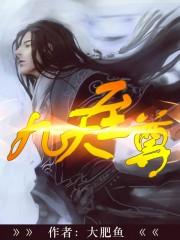 九天至尊大帝林辰是谁