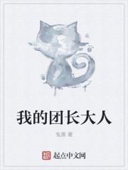 我的团长我团