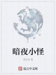 暗夜的怪物住野夜