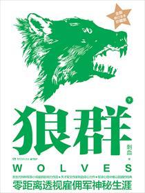 狼群正版