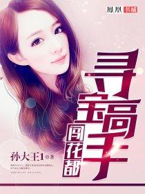 寻宝高手闯花都TXT免费阅读全文