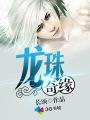 龙珠传奇z