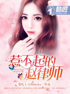 惹不起的赵律师视频