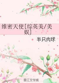 维密天使综英美/美娱