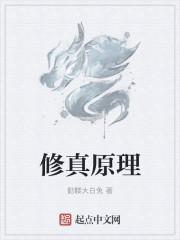 修真概念