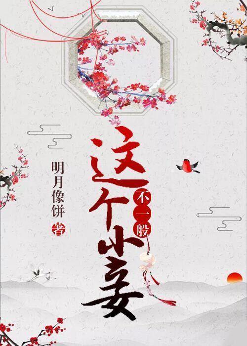 这个小妾不一般评价