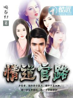 官路情途免费阅读
