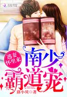 南少宠妻无度全文阅读