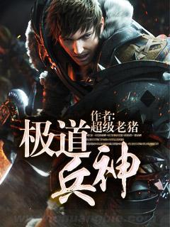 极道兵神txt80