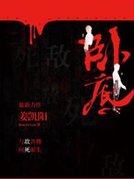 卧底定律