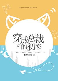 穿成总裁的初恋宝书网