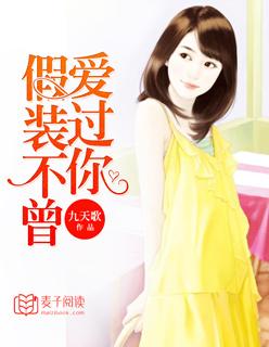 假装不曾爱过你林浅全文阅读