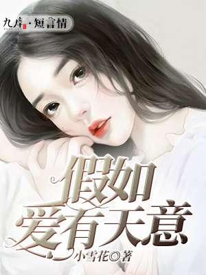 假如爱有天意 电影