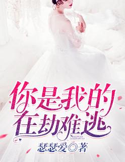 你是我的在劫难逃70集