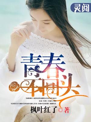 青春不回首31集