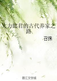 大力郎君的古代养家之路txt