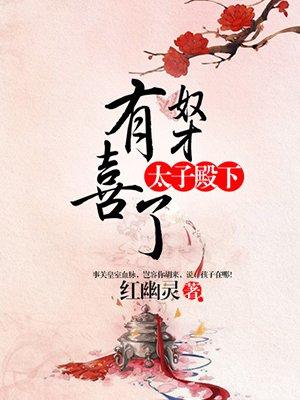 太子殿下奴才有喜了是言情吗?