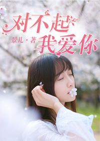 对不起我爱你中文版歌词