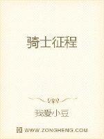 骑士征程完整版