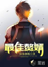 最佳赘婿在线观看