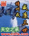 请叫我威廉三世评价