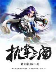 三国之执掌天下TXT