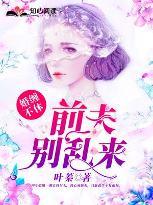 婚缠不休前夫别乱来短剧免费观看