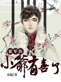霍医生小生有喜了读后感