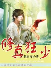 修真狂少苏辰