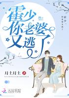 霍少你的老婆又逃了