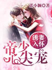 今夜星辰似你鹿单东演的剧免费观看完整版