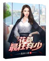 我的极品老婆电视剧分集介绍