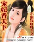宠妃天下作者