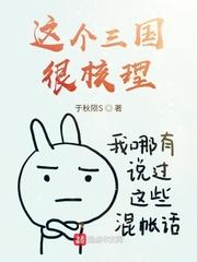 这个三国很核理 bxwx